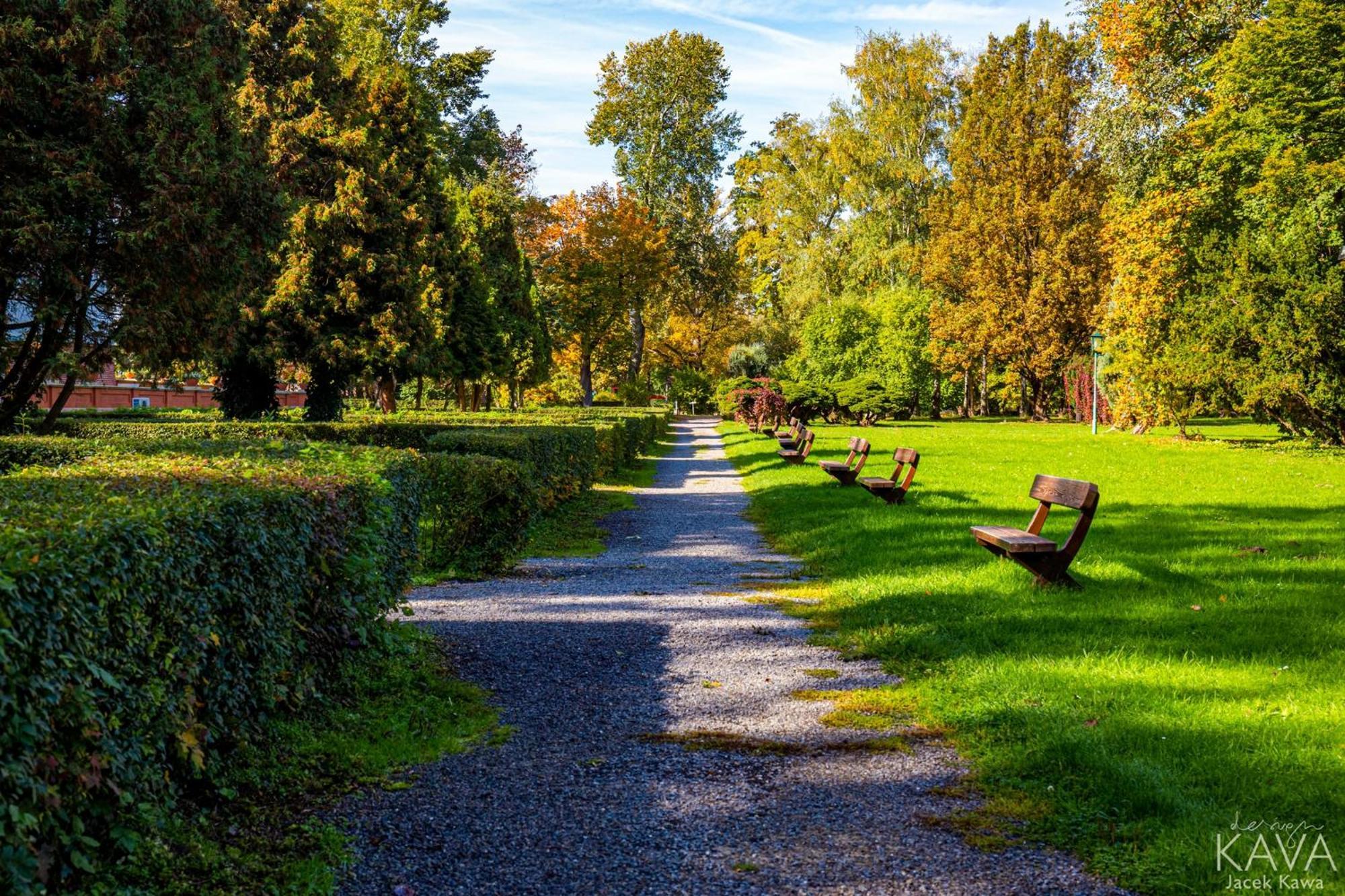 Zamek W Baranowie Sandomierskim Baranów Sandomierski Kültér fotó